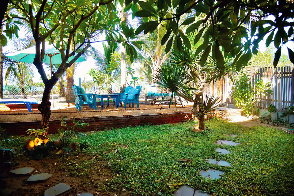 Flow House An Bang Beach Lush Tropical Garden Backyard Hoi An Vietnam