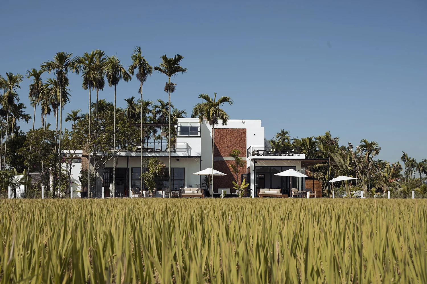 TOK Restaurant's Paddy-View Dining